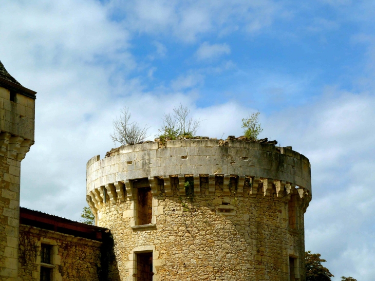 Château de Laxion - Corgnac-sur-l'Isle