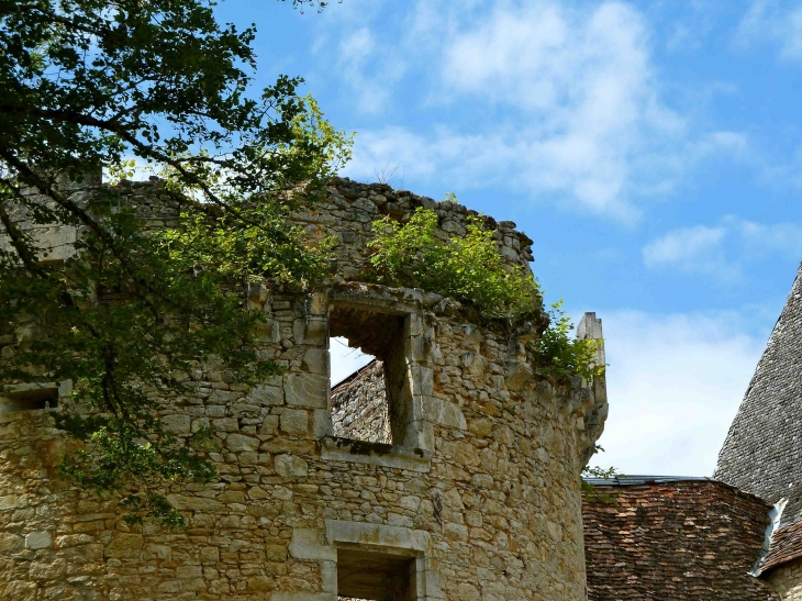 Château de Laxion - Corgnac-sur-l'Isle