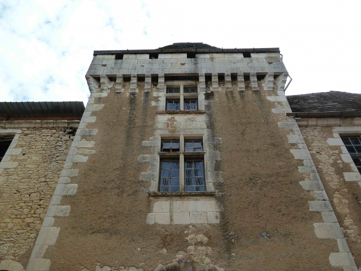 Château de Laxion - Corgnac-sur-l'Isle