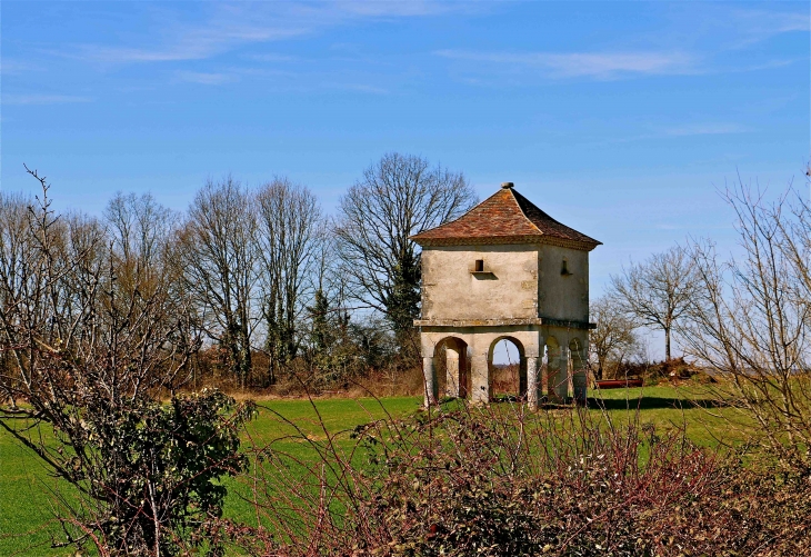 Le pigeonnier du chateau de la cousse - Coulaures