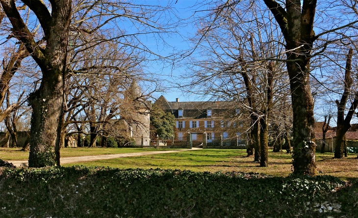 Le château de la Cousse - Coulaures