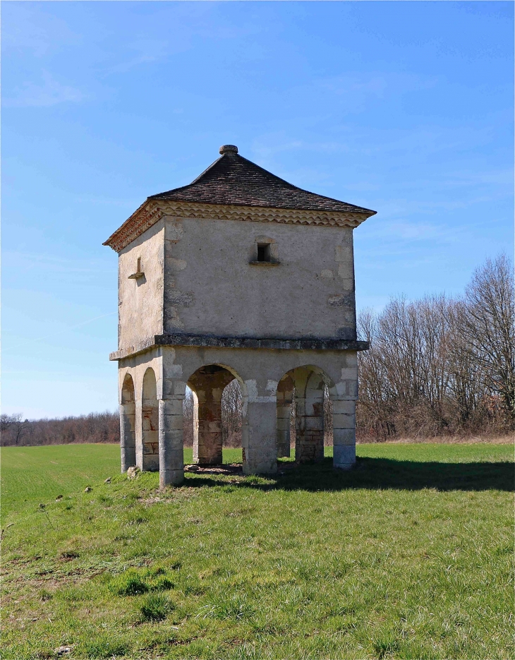 Le pigeonnier du château de la Cousse - Coulaures