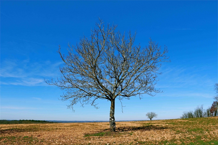 Dans la campagne - Coulaures