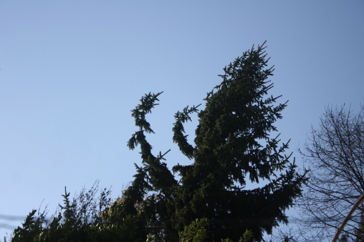 Jour de tempête à Coutures