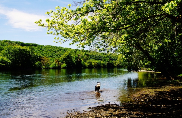 La Dordogne - Coux-et-Bigaroque