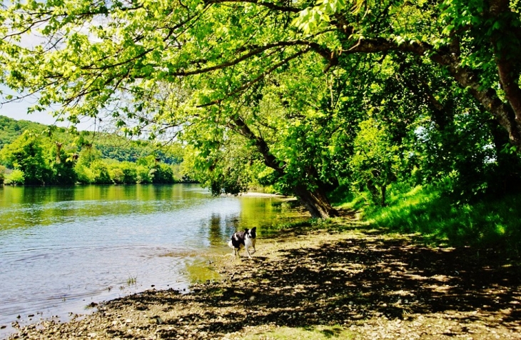 La Dordogne - Coux-et-Bigaroque