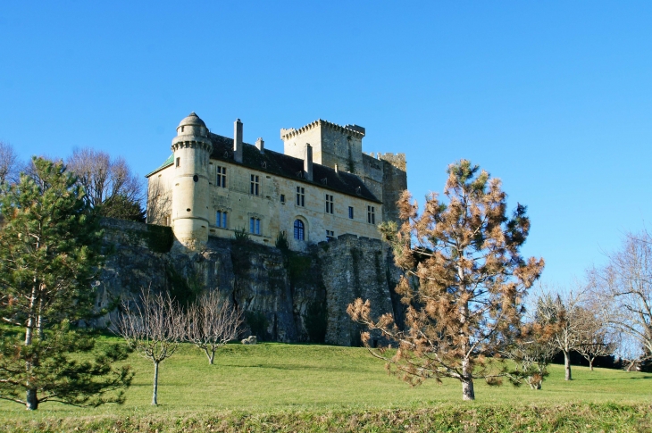 Le château des XIIIe, XIVe et XVIIIe siècles. - Excideuil