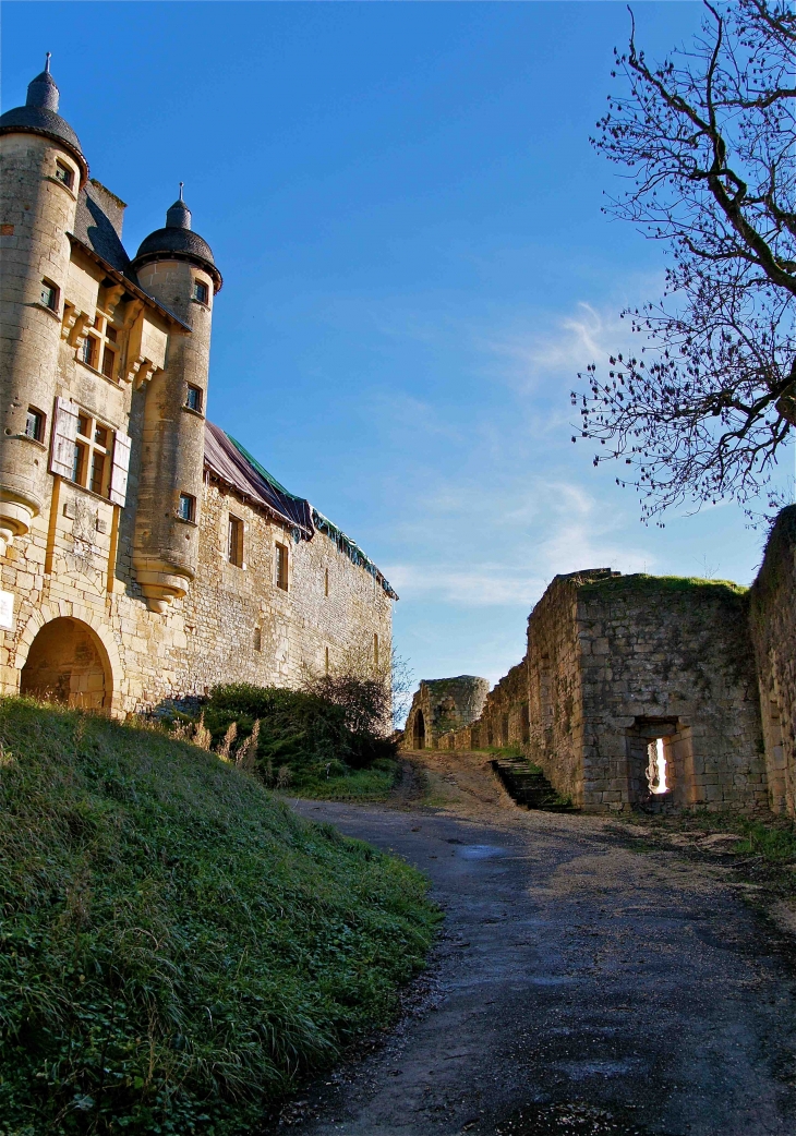 Le château - Excideuil