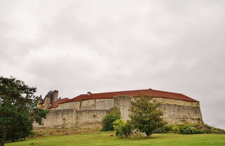 Le Château - Excideuil