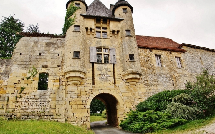 Le Château - Excideuil