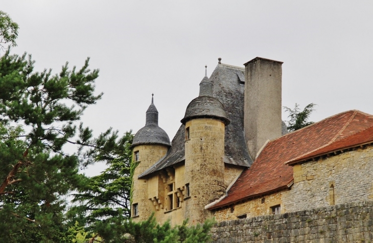 Le Château - Excideuil