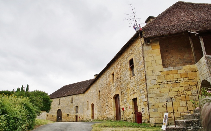 Le Château - Excideuil