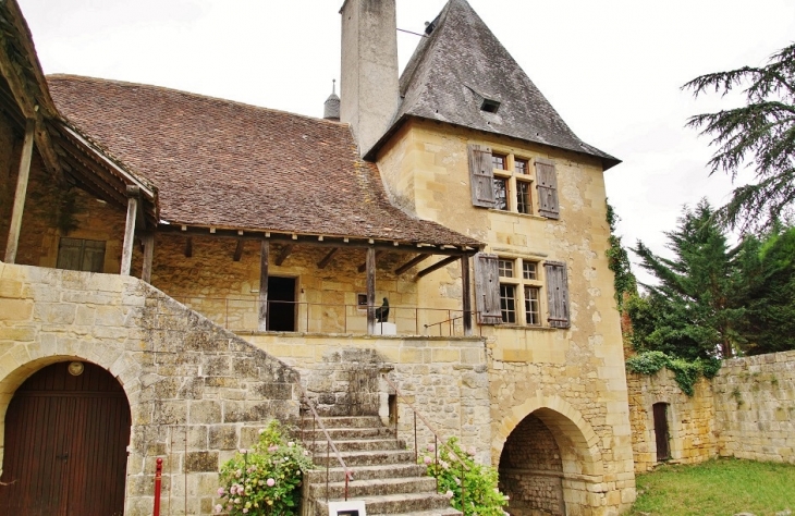 Le Château - Excideuil