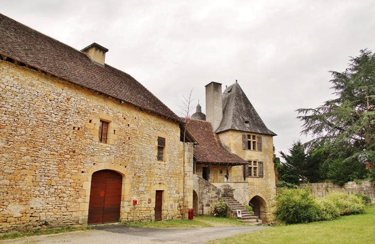 Le Château - Excideuil