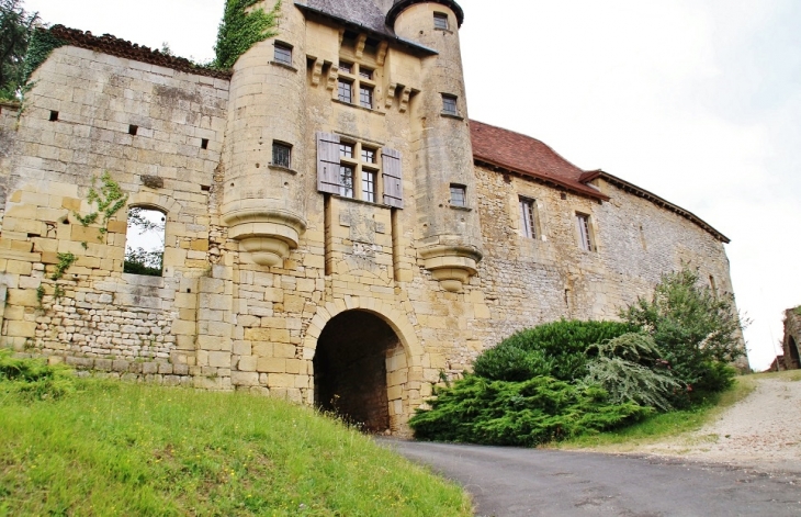 Le Château - Excideuil