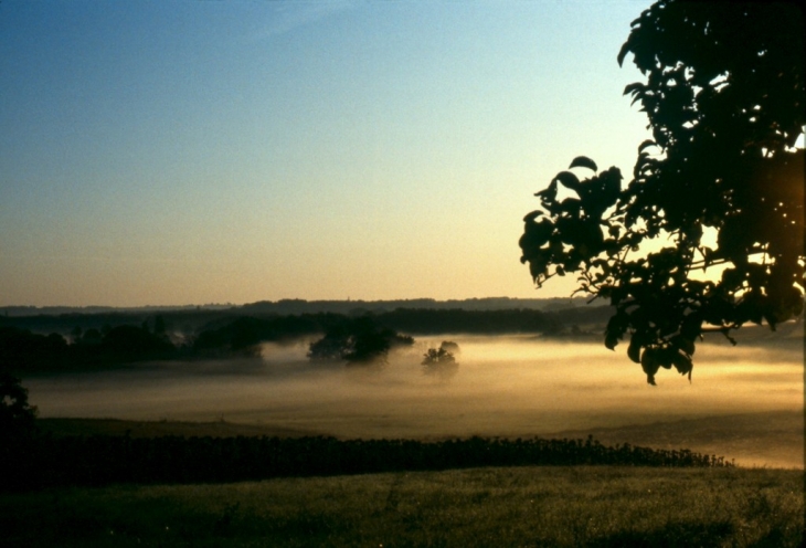 Brumes matinales - Flaugeac