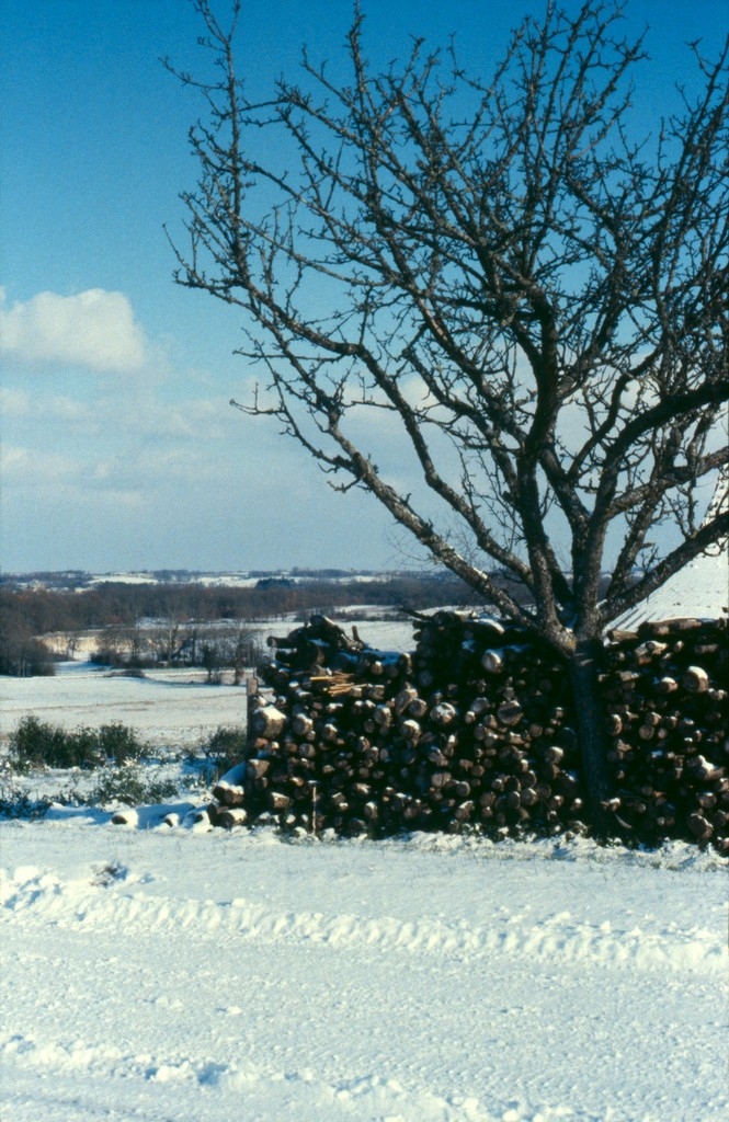 Février 1985 - Flaugeac