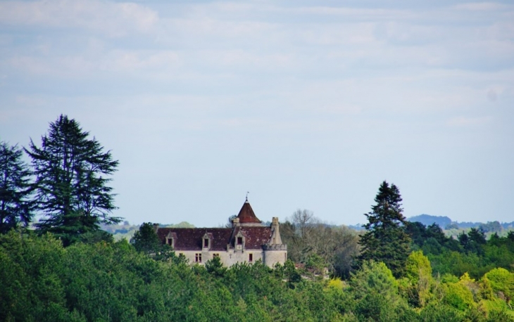 Le Château - Fleurac