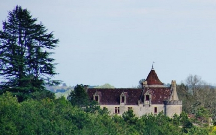 Le Château - Fleurac