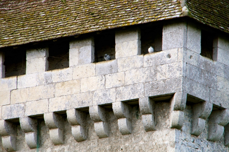 Tour est-du-chateau-et-chemin-de-ronde - Gageac-et-Rouillac