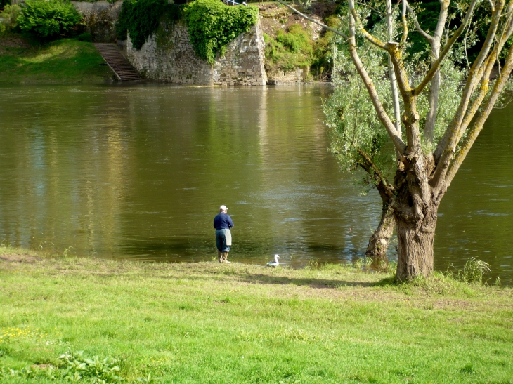 Sur les berges de la Dordogne - Gardonne