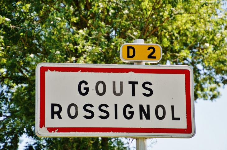  - Gout-Rossignol