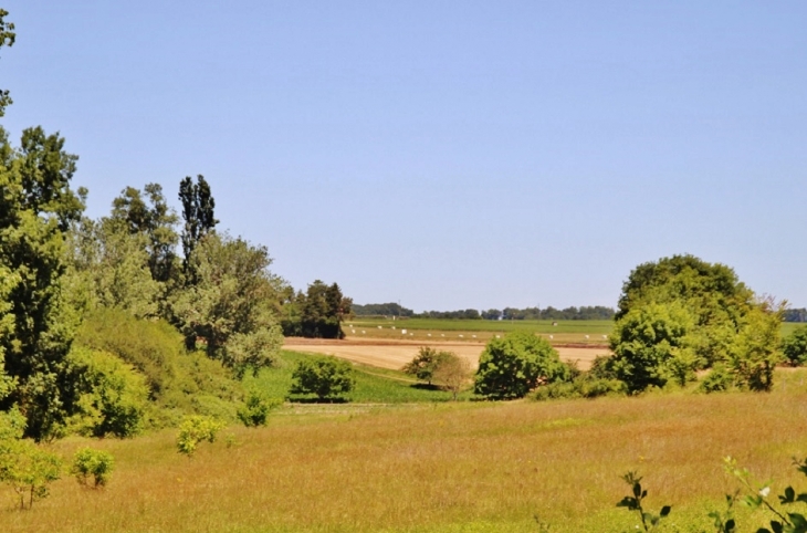 La Campagne - Gout-Rossignol