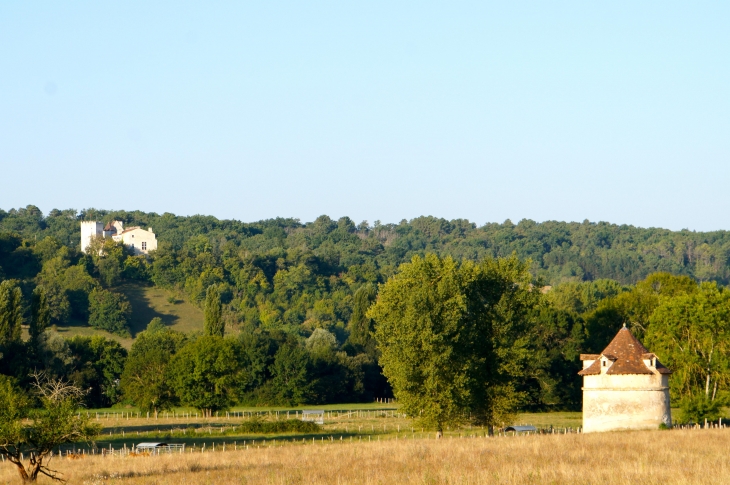 Vue sur le château de Grignols et un pigeonnier.