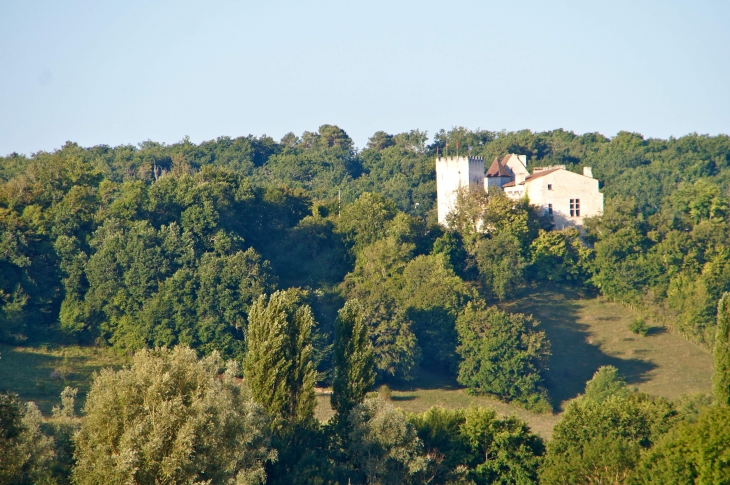 Vie sur le château de Grignols du XIVe siècle.