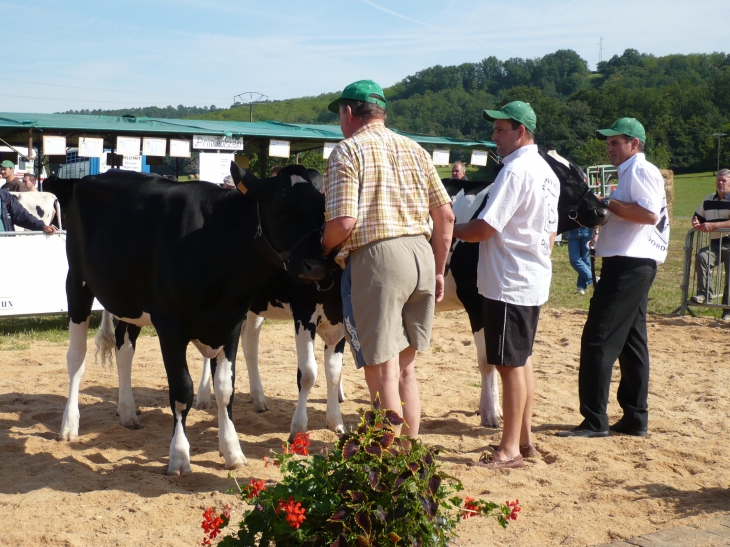 Concours agricole - Grun-Bordas