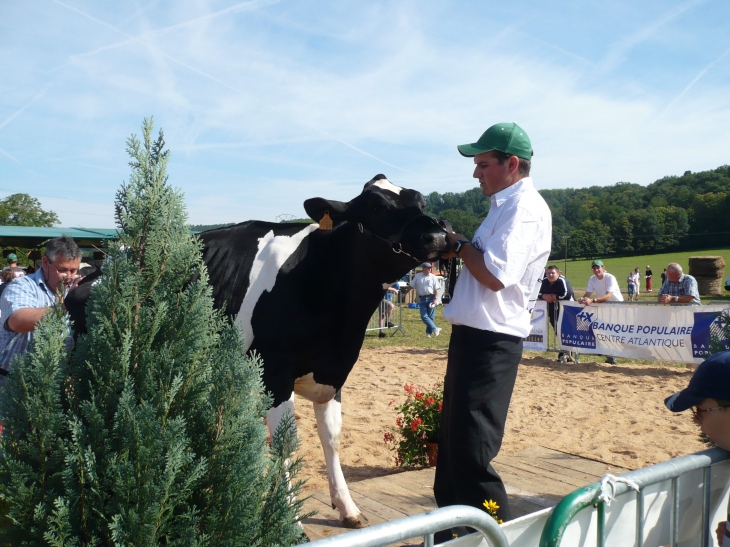 Concours agricole - Grun-Bordas