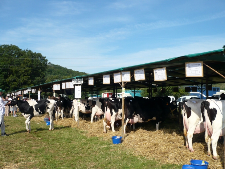 Concours agricole - Grun-Bordas