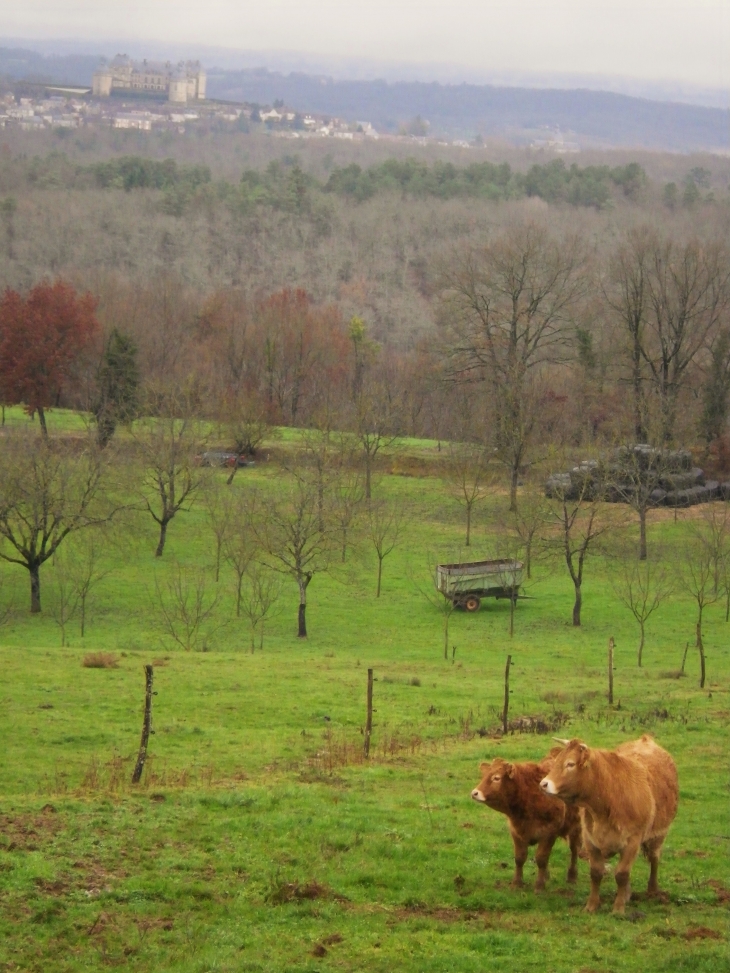 Paysage autour d'hautefort et son château. 