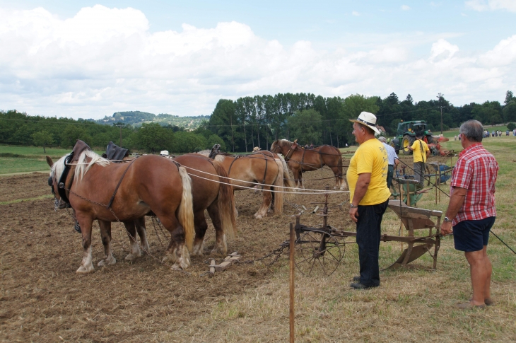 Terre en fête - Hautefort