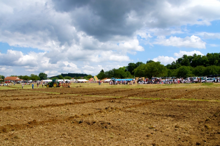 Terre en Fête. - Hautefort