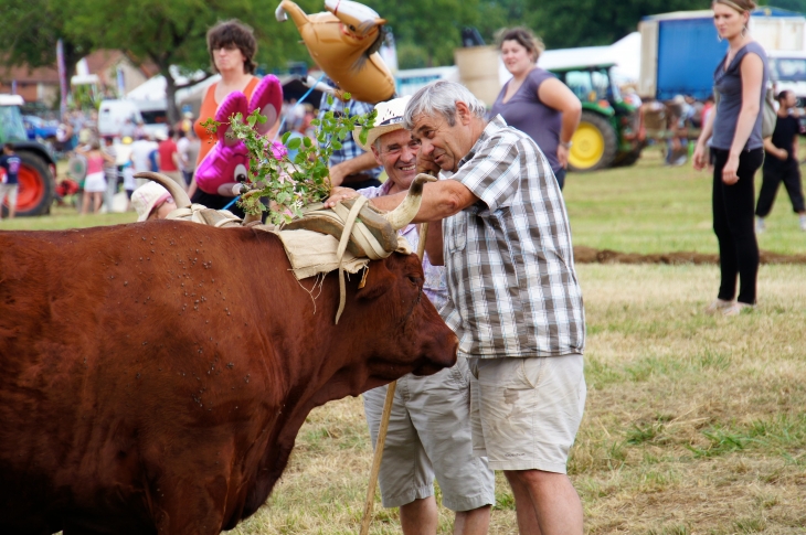 Terre en Fête. - Hautefort