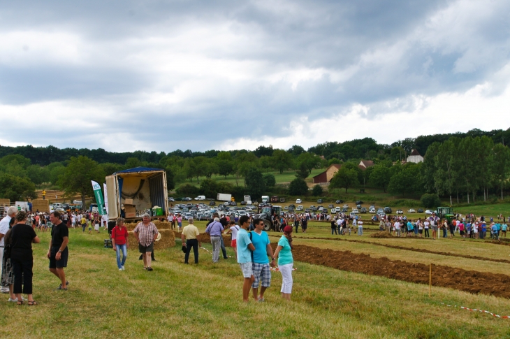 Terre en Fête. - Hautefort