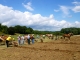 Photo précédente de Hautefort Terre en Fête.