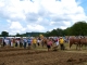 Photo précédente de Hautefort Terre en Fête.