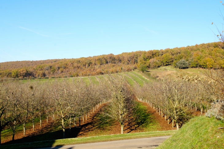 Vue du Village. - Jayac