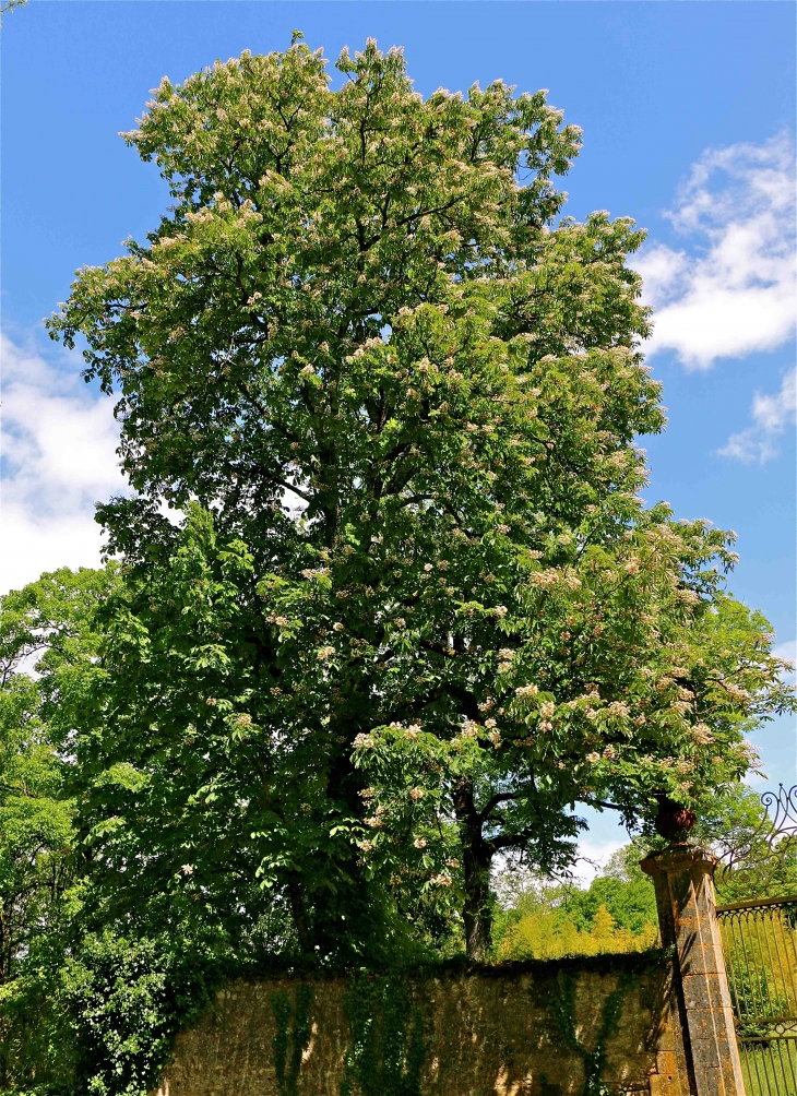  - La Boissière-d'Ans