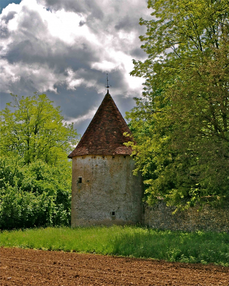 Tour du château des Brouillets - La Boissière-d'Ans