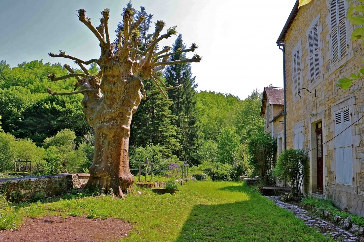 Le moulin de Ladoux - La Cassagne