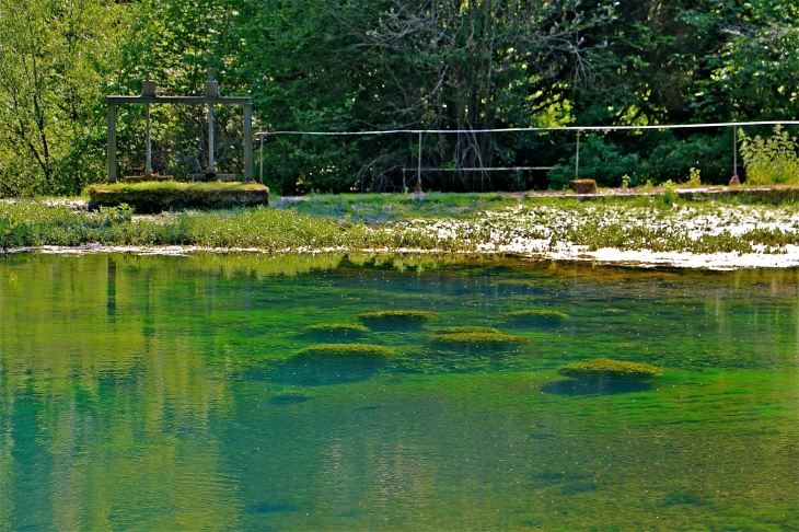 La source du Coly - La Cassagne