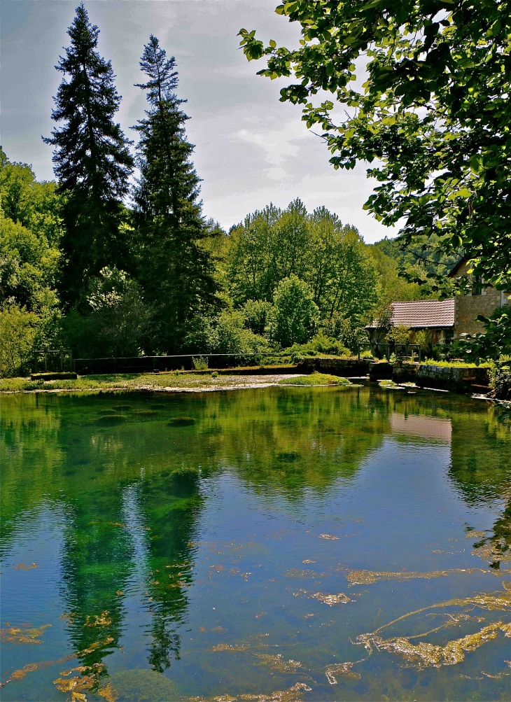 La source du Coly - La Cassagne