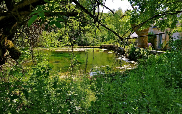 La source du Coly - La Cassagne