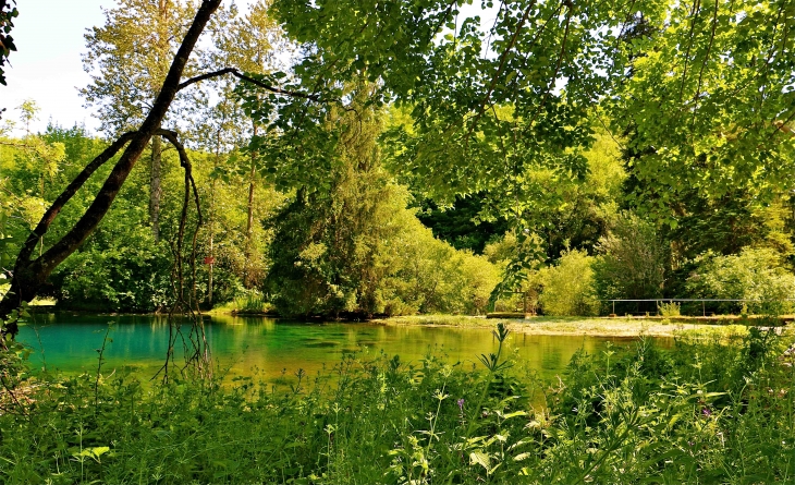 La source du Coly - La Cassagne