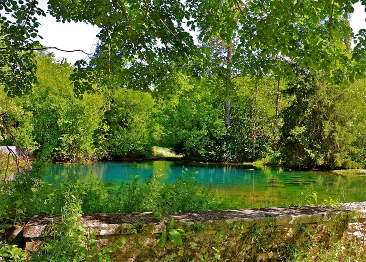 La source du Coly - La Cassagne