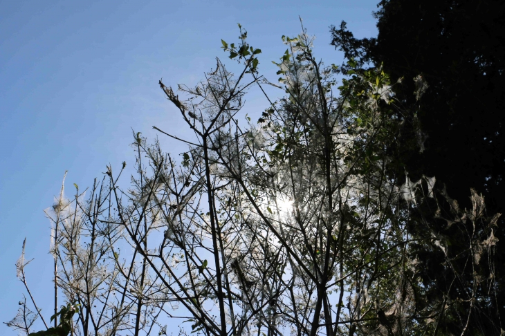 Dans la campagne. - La Cassagne