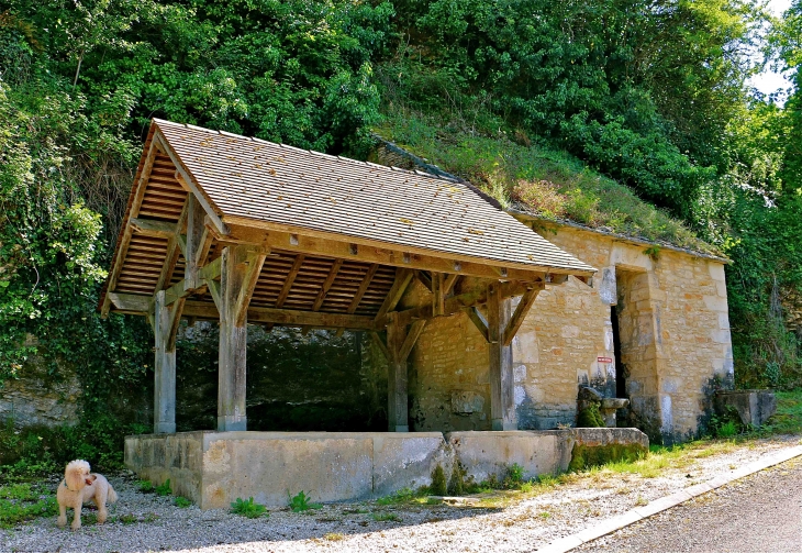 Fontaine-Lavoir de la Cassagne